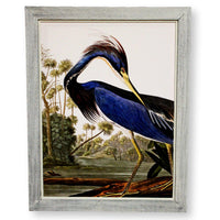 Framed Original Oil Blue Tropical Heron
