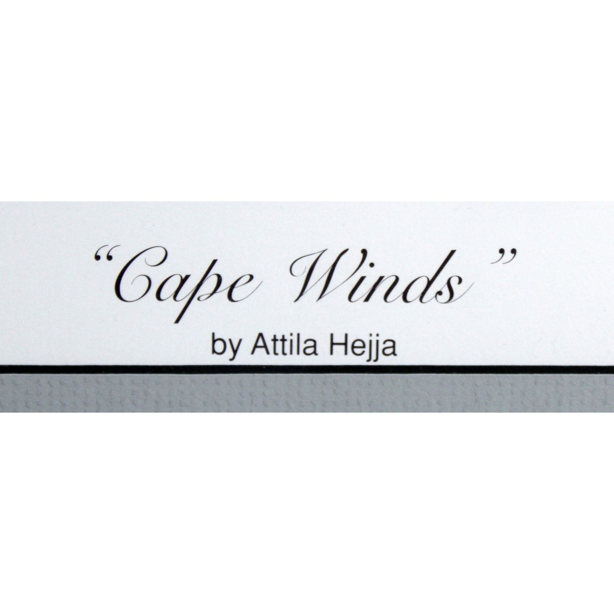 Framed Print 'Cape Winds' by Attila Hejja