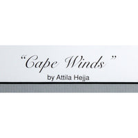 Framed Print 'Cape Winds' by Attila Hejja