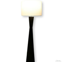 Modern Angled Floor Lamp