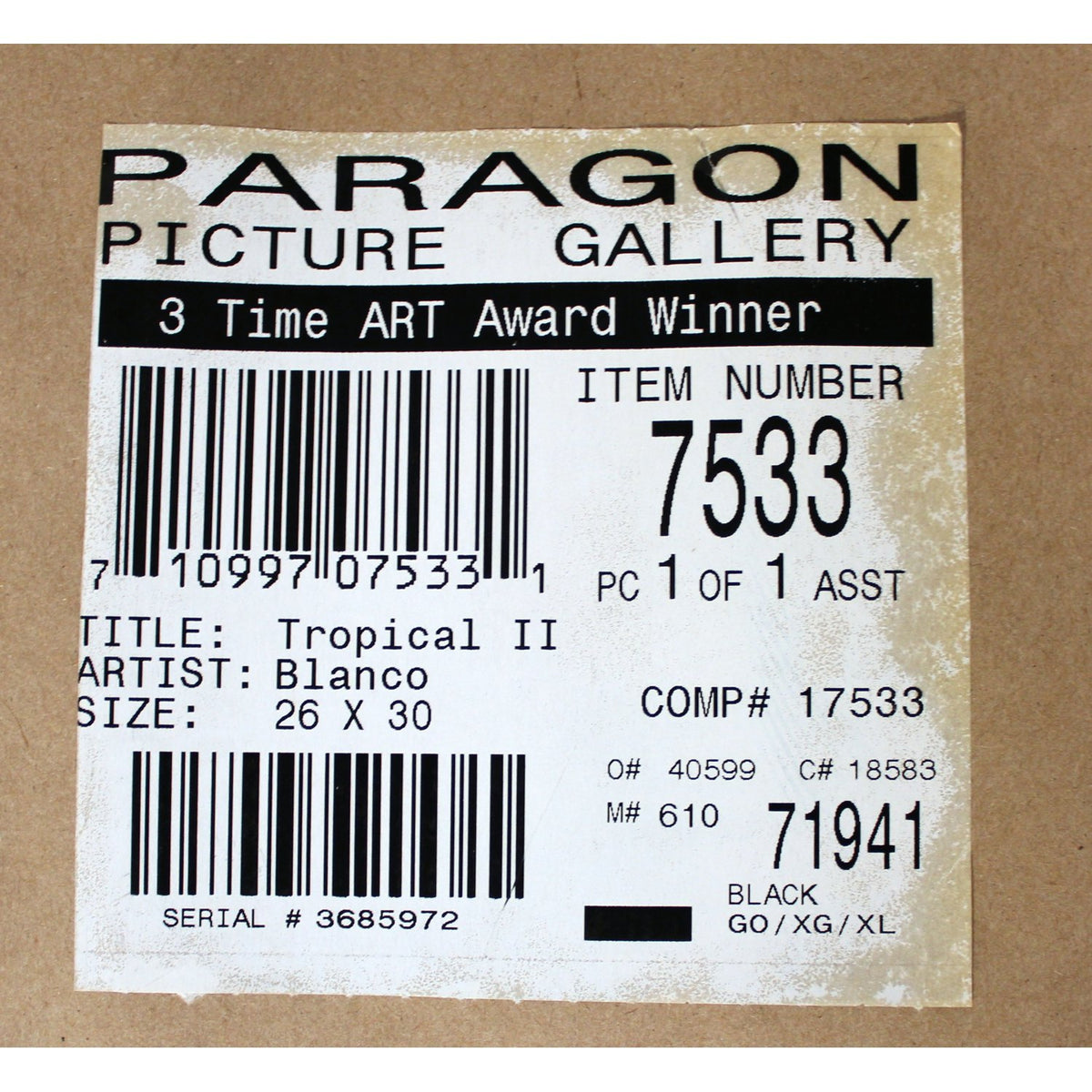 Framed Botanical Print 'Tropical II'