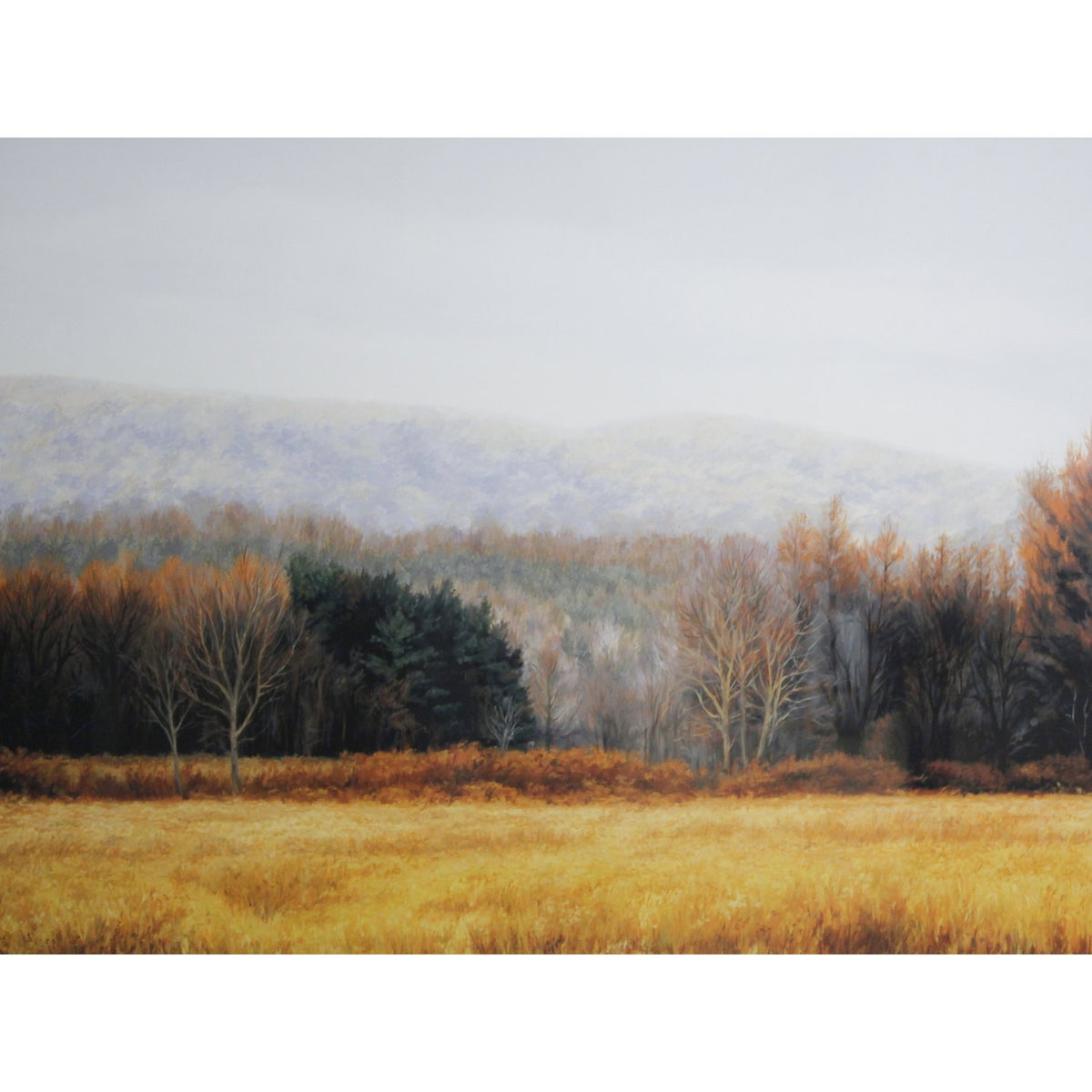 Framed Print 'November Hedgerow' by Dennis Stephens