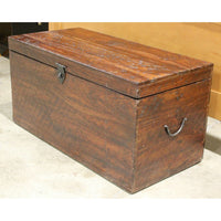Tropical Rustic Hewn Trunk