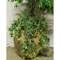 Faux Ficus Tree w/Ivy in Tan Pot