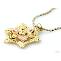 10K Yellow Gold BHG Star Pendant & Gold Tone Chain