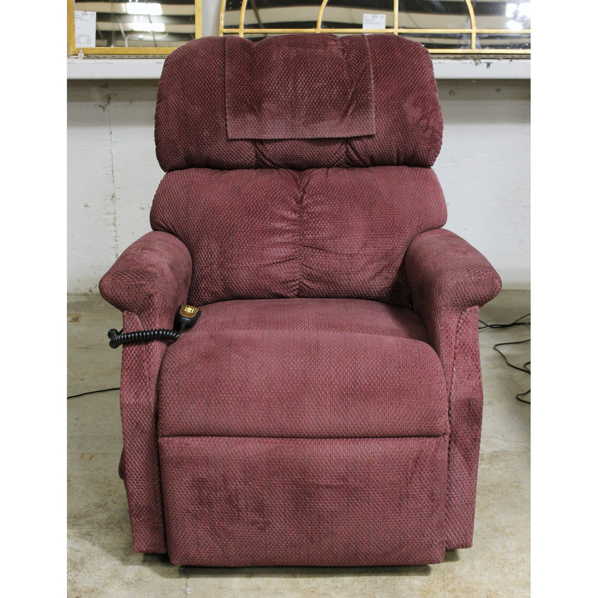 Golden Technologies Power Lift Recliner