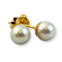 7.70mm Cultured White Pearl 14K Gold Stud Earrings