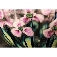 John Lotton Lavender & White Floating Iris Art Glass Bowl