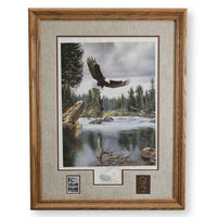 Framed Print 'Where Freedom Reigns' (Eagle) By Derk Hansen
