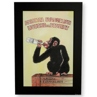 Renowned Vintage Anisetta Monkey