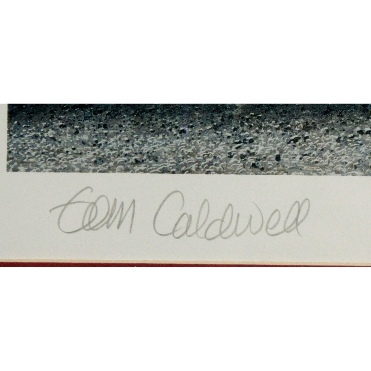 Signed Limited Edition Print "The Garden" by Tom Caldwell