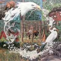 Framed Signed Limited Edition Print "Sacred Circle" by Bev Doolittle