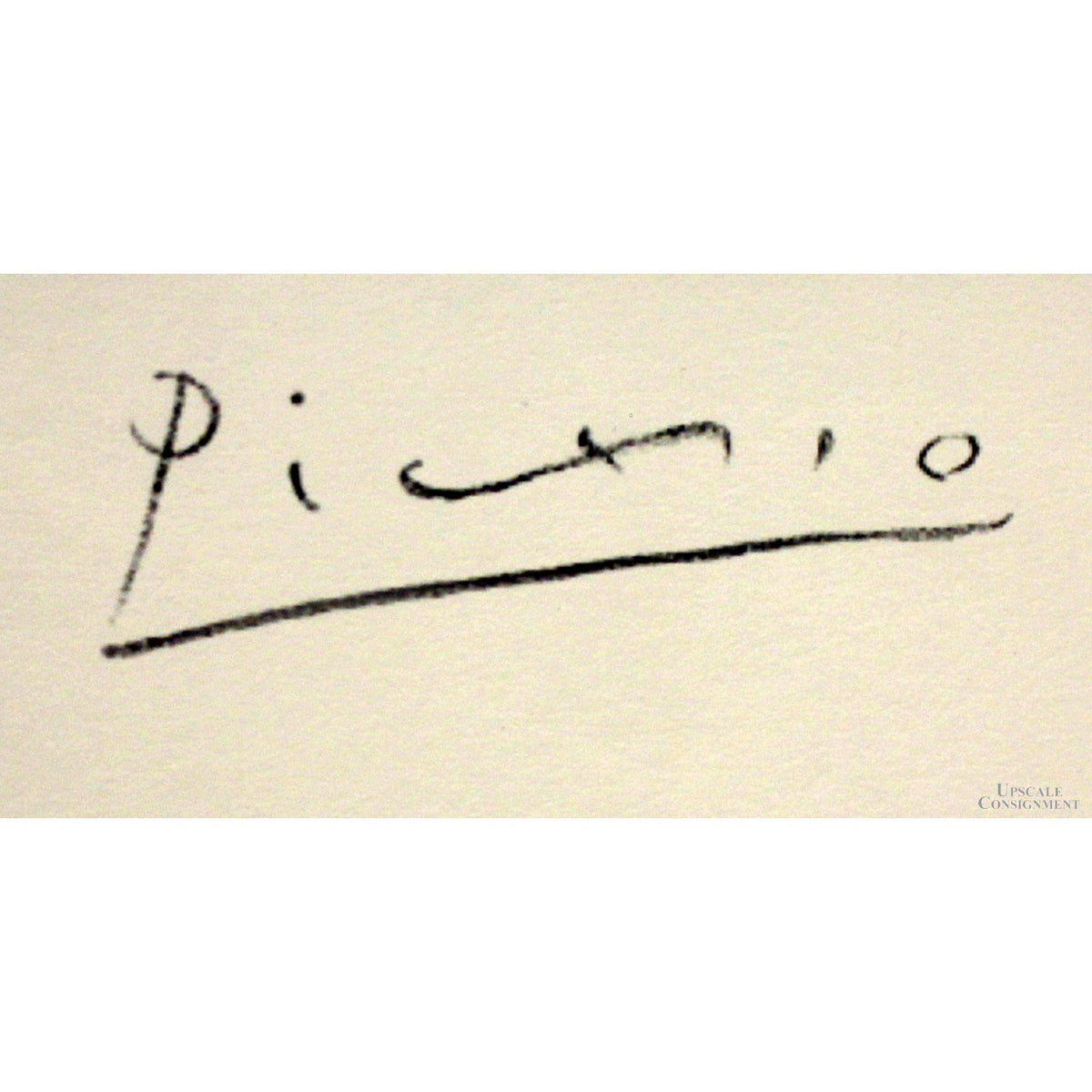 "Harlequin and His Companion" by Pablo Picasso