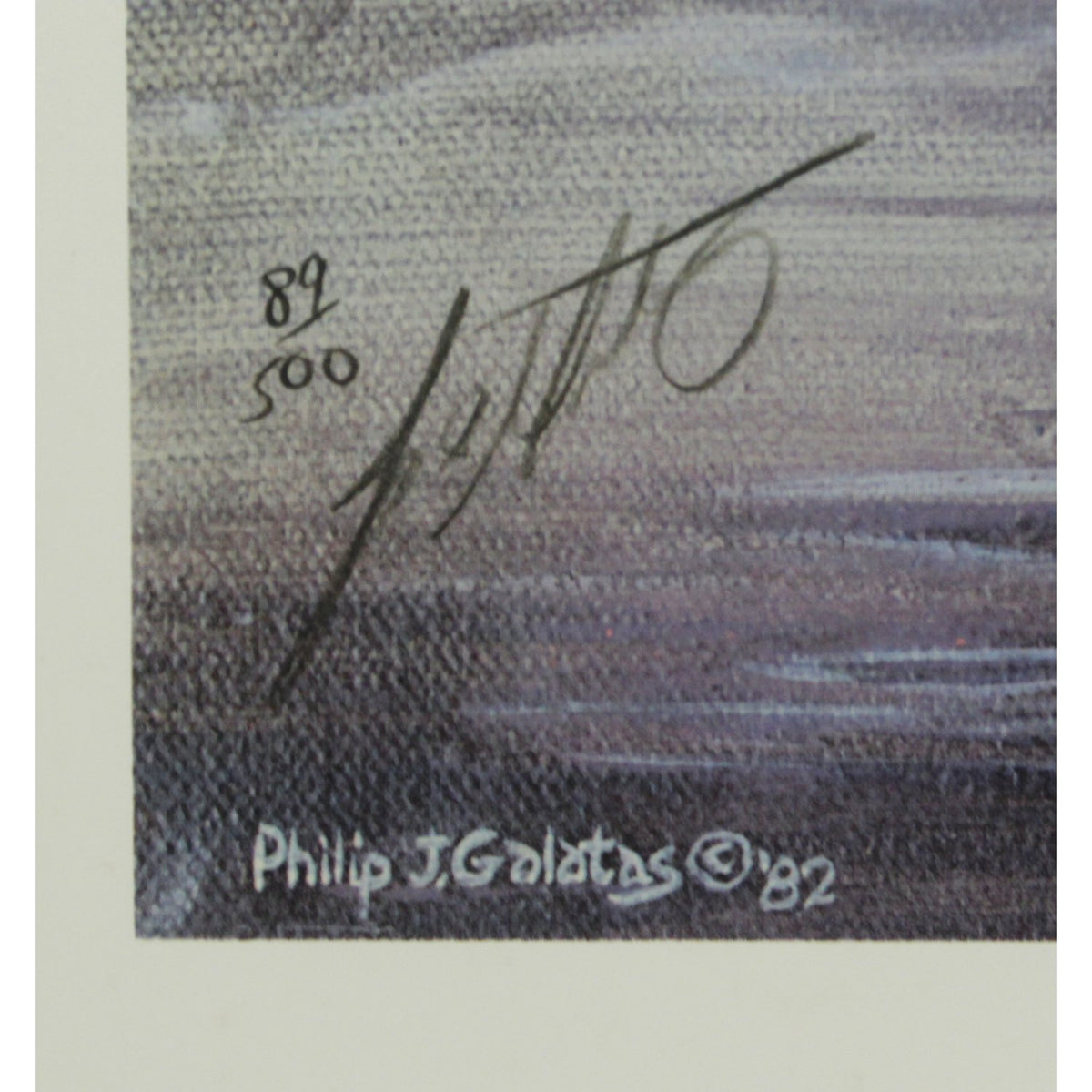 Signed Limited Edition Print "Swamp Bandits - Wood Ducks" by Philip Galatas