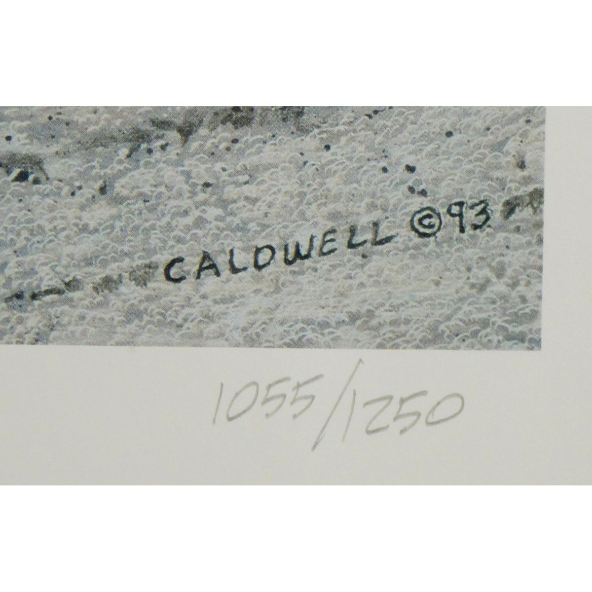 Signed Limited Edition Print "The Garden" by Tom Caldwell