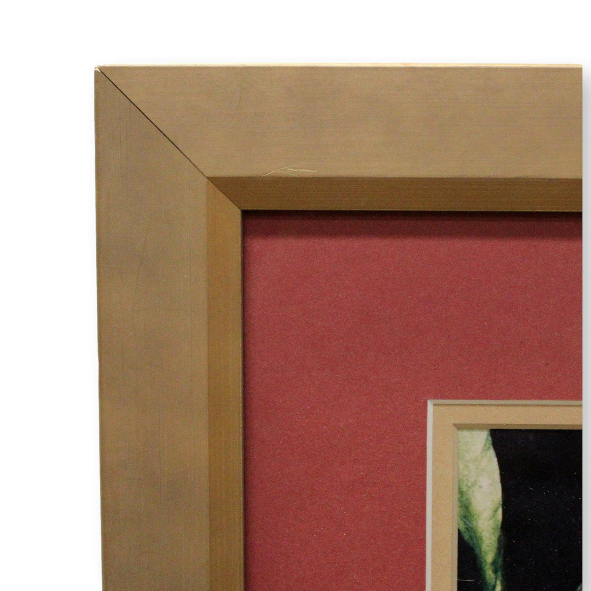 "Blooms of Spring" by Kim Osgood Framed Limited Edition Print