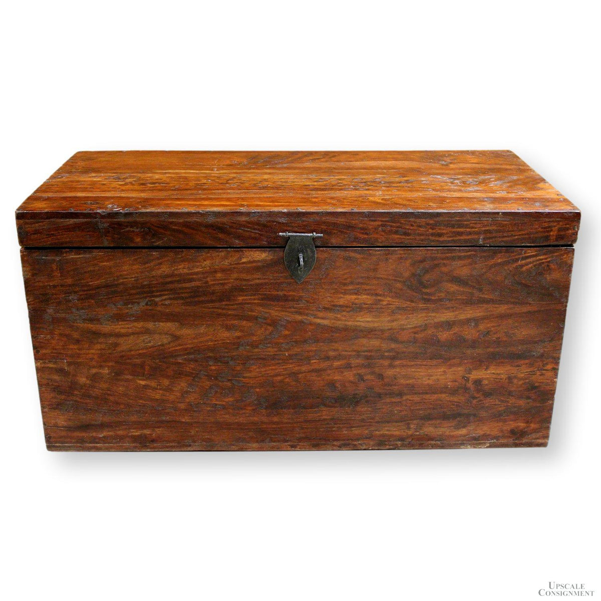 Tropical Rustic Hewn Trunk
