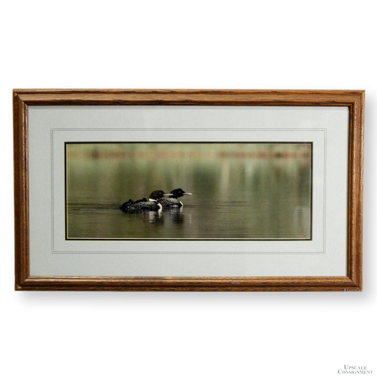 Framed Photographic Artwork - Loon on a Lake By James T. Jones