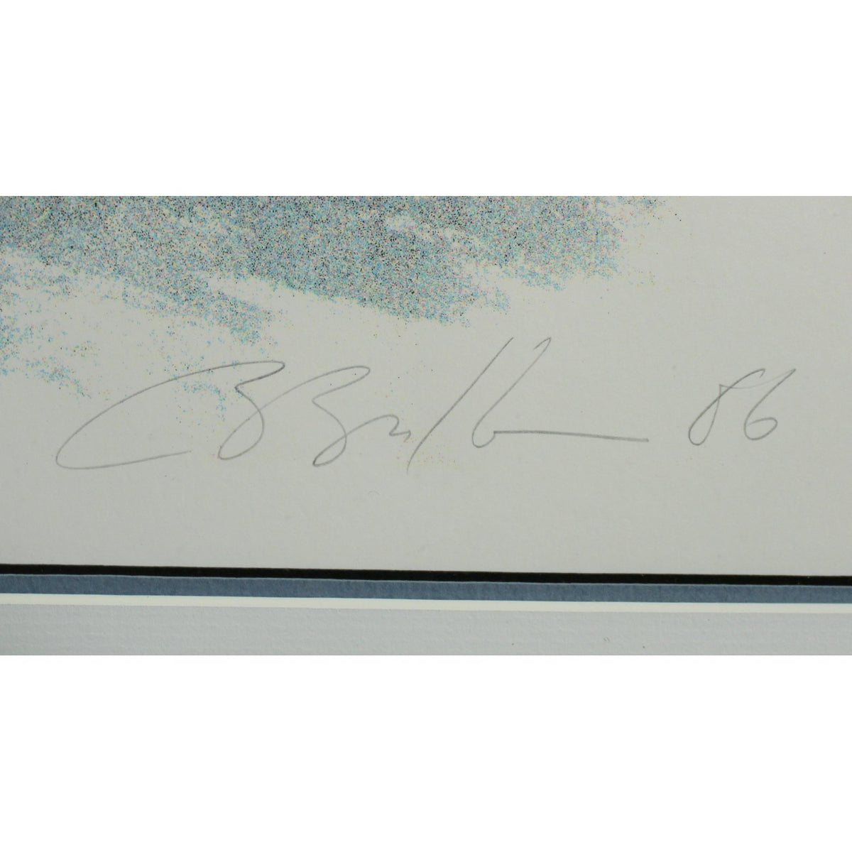 Framed Limited Edition Print - Horse