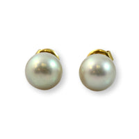 7.70mm Cultured White Pearl 14K Gold Stud Earrings