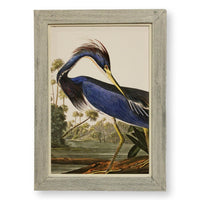 Framed Retouched Print Blue Heron