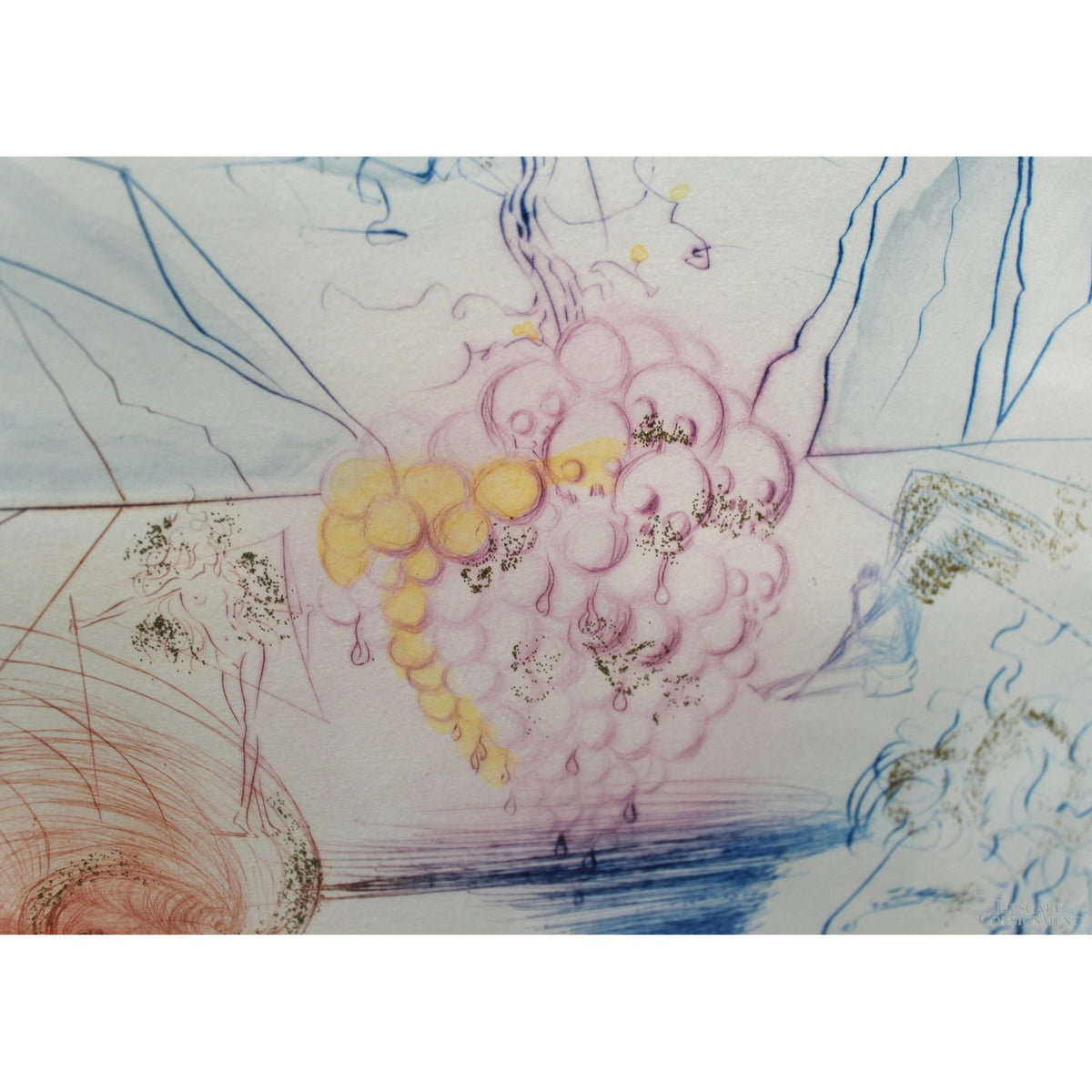 Framed Limited Edition Etching 'Kissing Grapes' by Salvador Dali