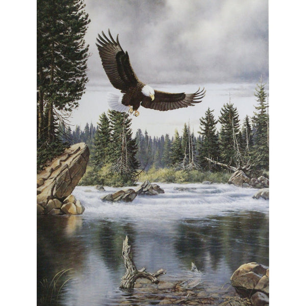 Framed Print 'Where Freedom Reigns' (Eagle) By Derk Hansen