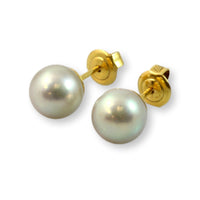 7.70mm Cultured White Pearl 14K Gold Stud Earrings