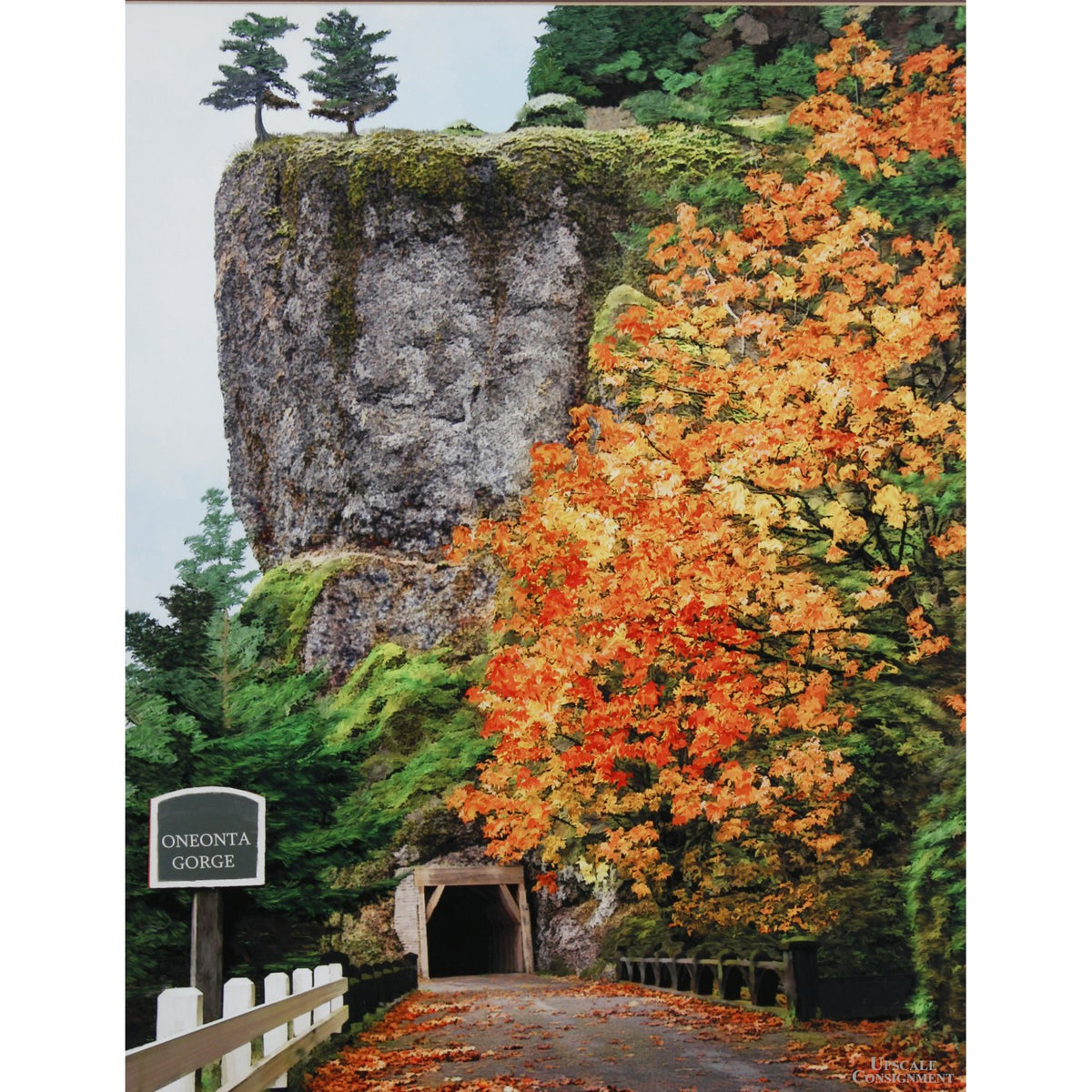 'Oneonta Gorge Tunnel' Framed Limited Edition Print By Paul & Marilyn Peck