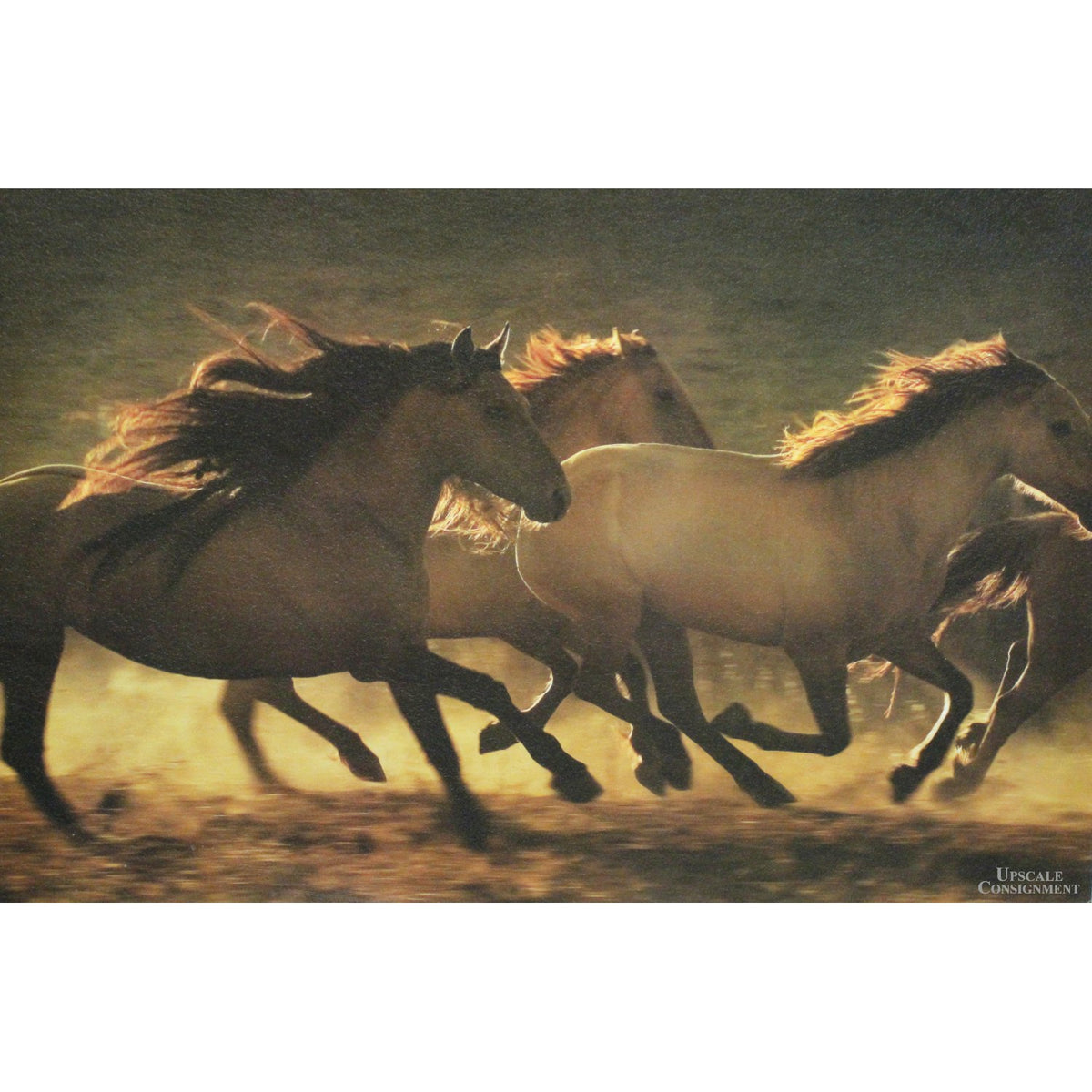 Framed Print on Board - Galloping Horses