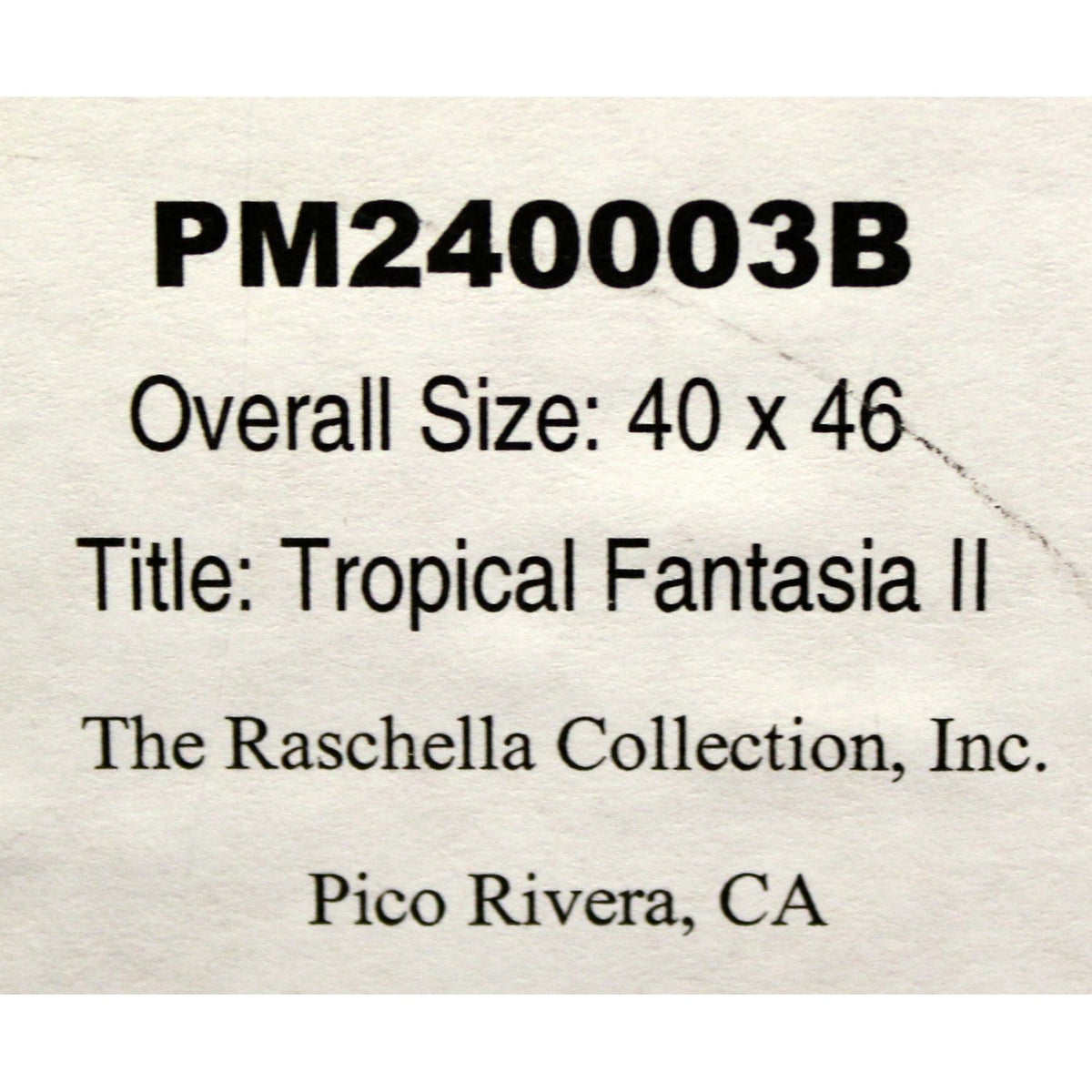 Framed Art - 'Tropical Fantasia II'