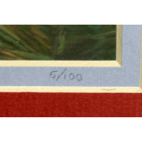 'Elegant Cape Blanco' Framed Limited Edition Print By Paul & Marilyn Peck