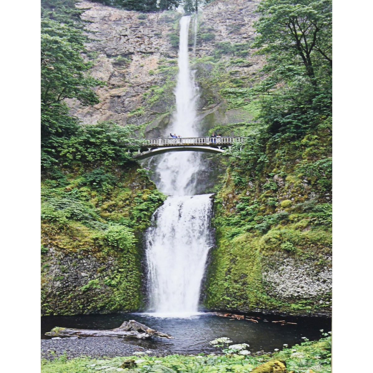 'Multnomah Falls' Framed Limited Edition Print By Paul & Marilyn Peck