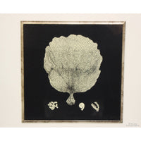 Z Gallerie Black & White Coral Print