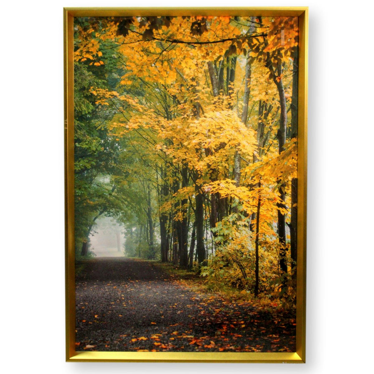 Framed Fall Tree Photo Artwork