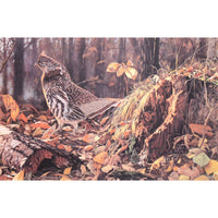 Limited Edition Print "Autumn Magic" by Bruce Miller